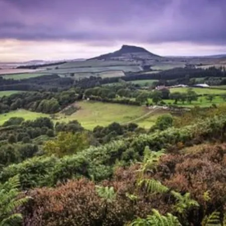 High Dale View North Yorkshire Coast Lingdale